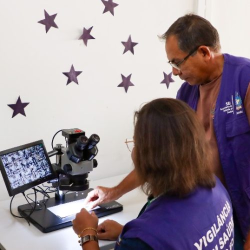 Estado realiza visita técnica ao Núcleo de Vetores de Senador Canedo